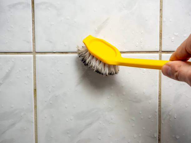 Best Kitchen Mold Remediation in Mountain Lodge Park, NY