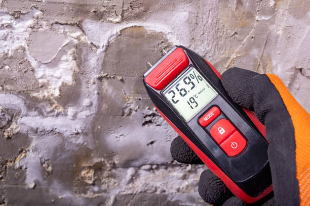 Best Mold Testing and Inspection Services in Mountain Lodge Park, NY